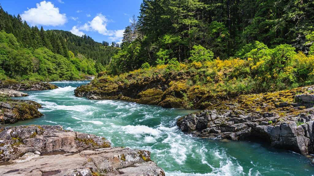 HONOURING YOUR BODY RHYTHMS